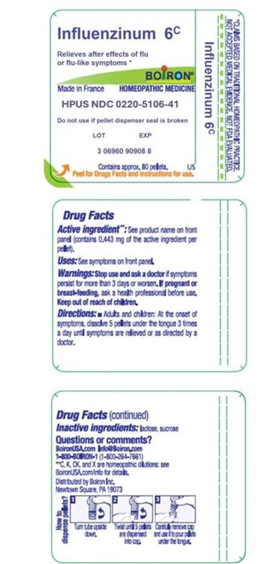 Label (Influenzinum 6c 0220 5106 41)